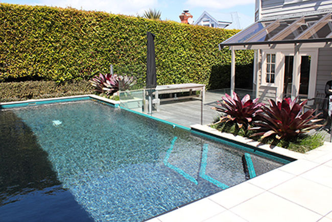 2011 Garden 24 - Remuera