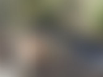 HILLSIDE RAISED PLANTERS AND PATHWAY - MT PLEASANT