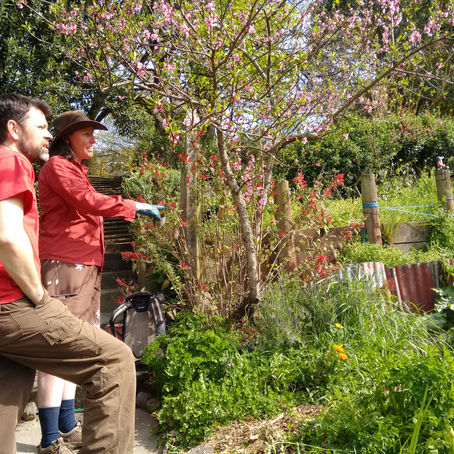 Permaculture Education