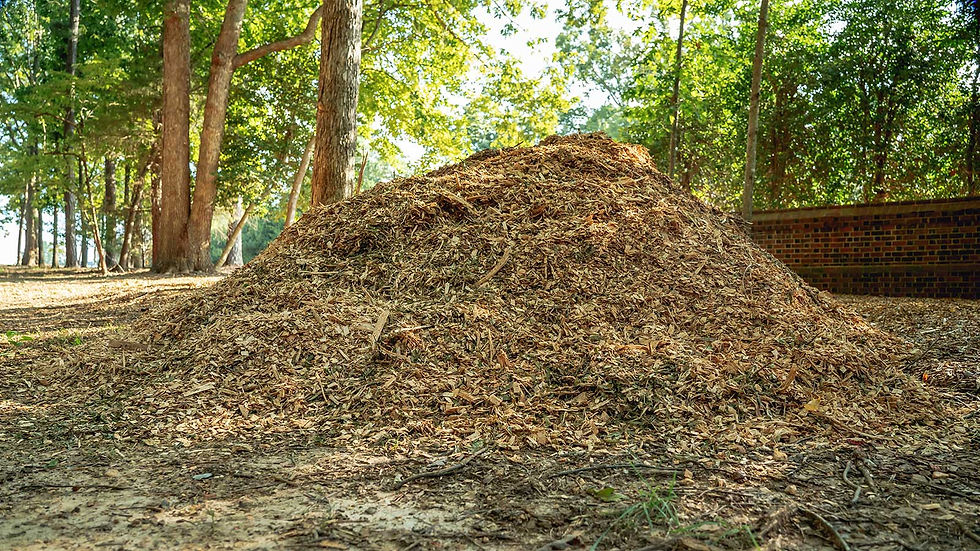 Arborist Woodchips - Mulching and Stump Grinding
