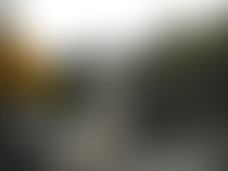 HILLSIDE GARDEN DESIGN COMES TO COMPLETION!