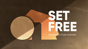 Set Free Series.png