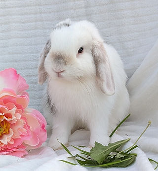 PXL_20240831_155425469 (1).jpg