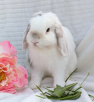 PXL_20240831_155425469 (1).jpg