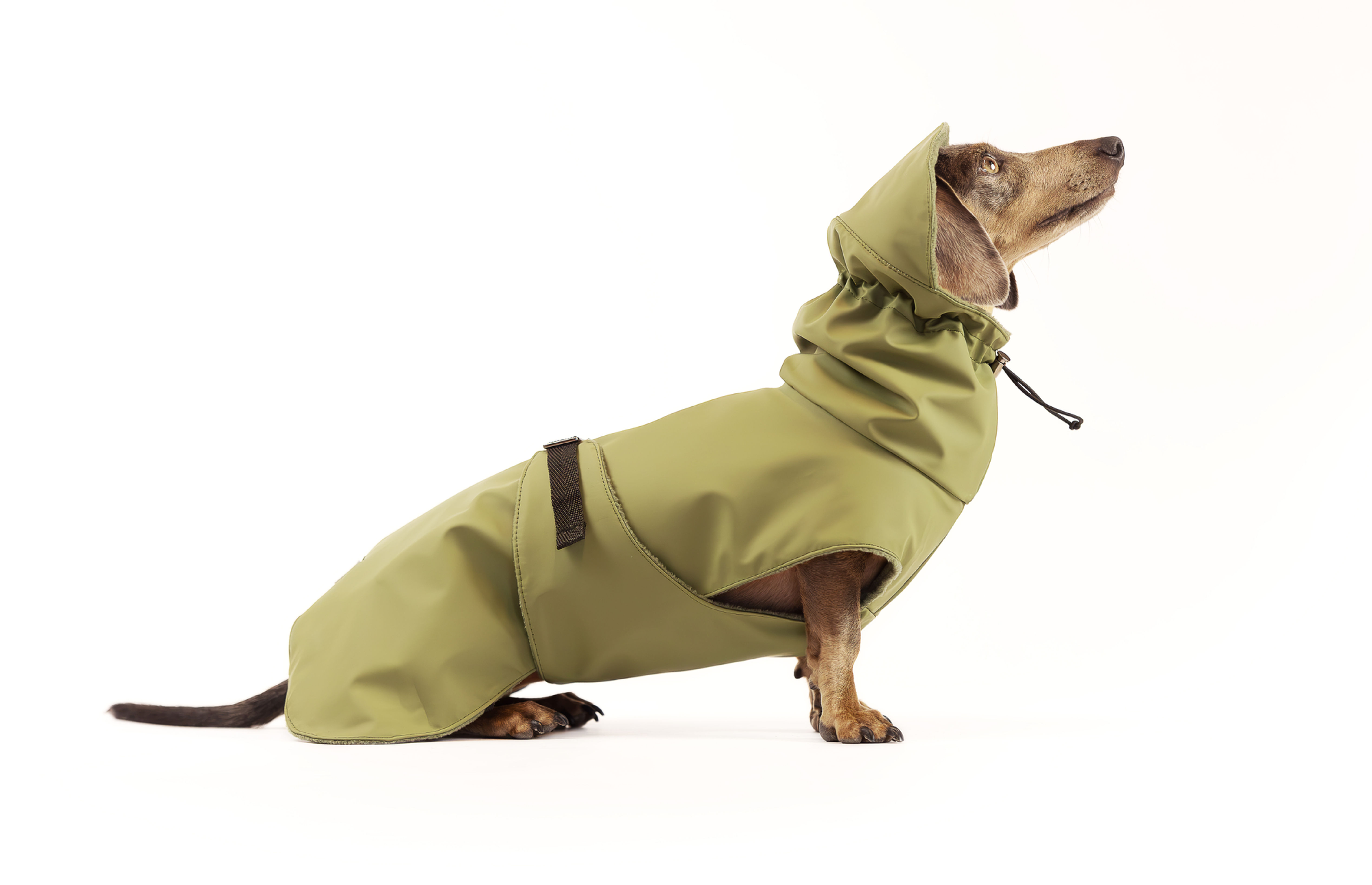 Impermeabile Verde militare per cani
