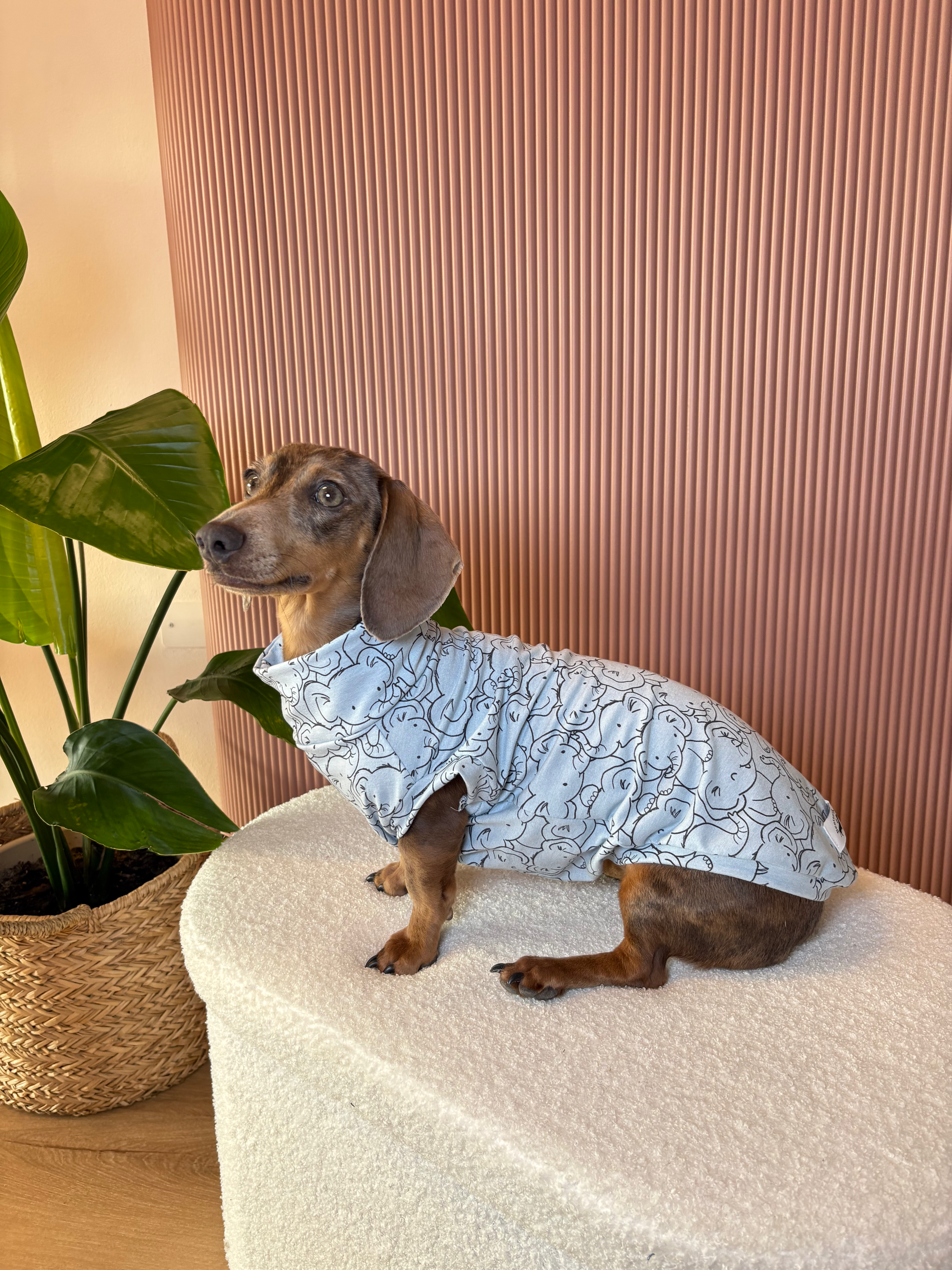 Pigiamino Azzurro Elefanti