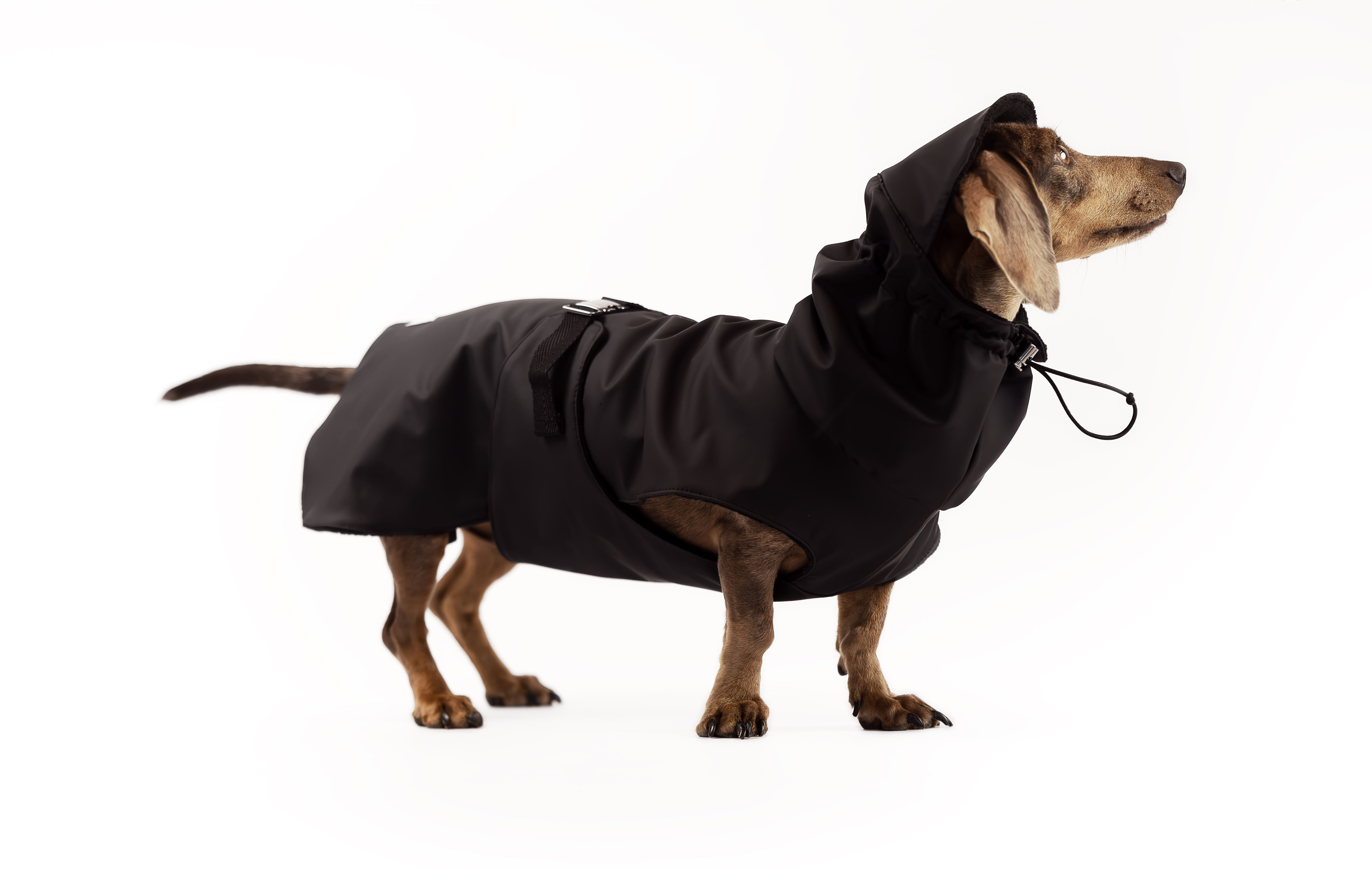 Impermeabile Nero per cani