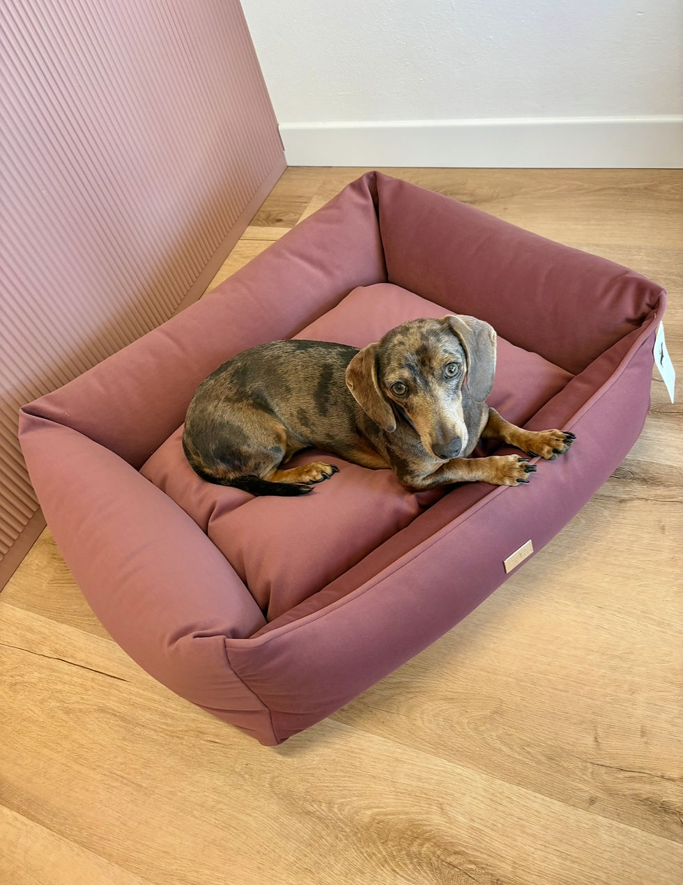 Cuccia Amarena Rettangolare