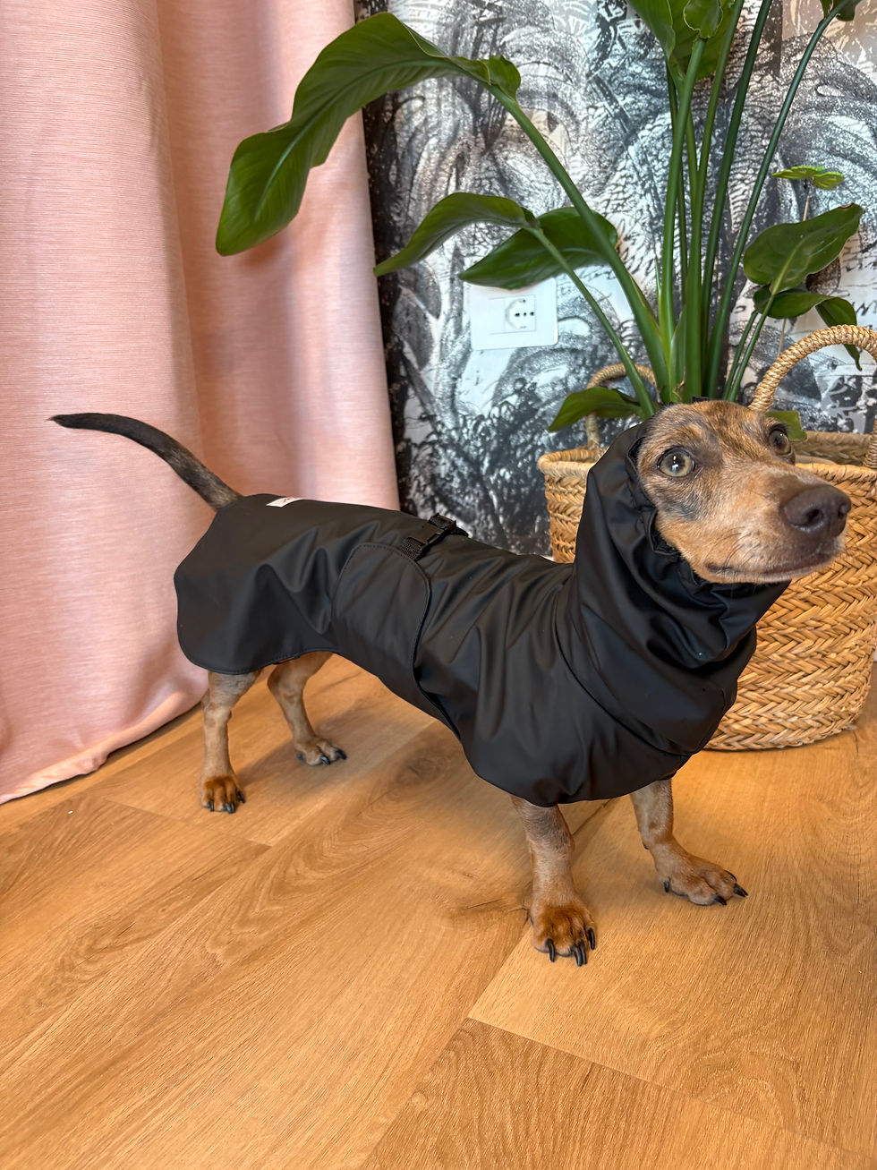 Thumbnail: IMPERMEABILE NERO PER CANI