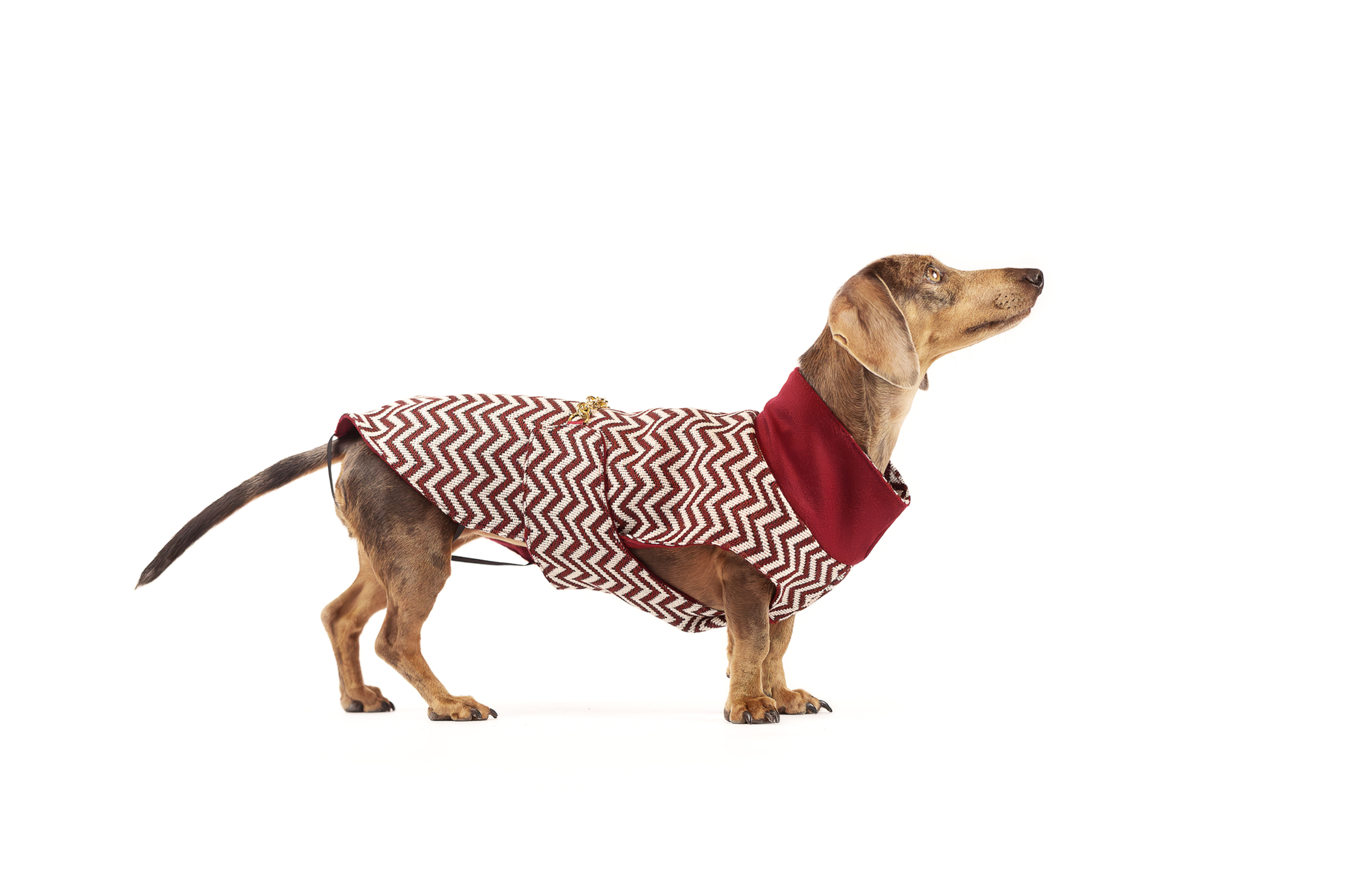 Cappottino Bordeaux reversibile per cani