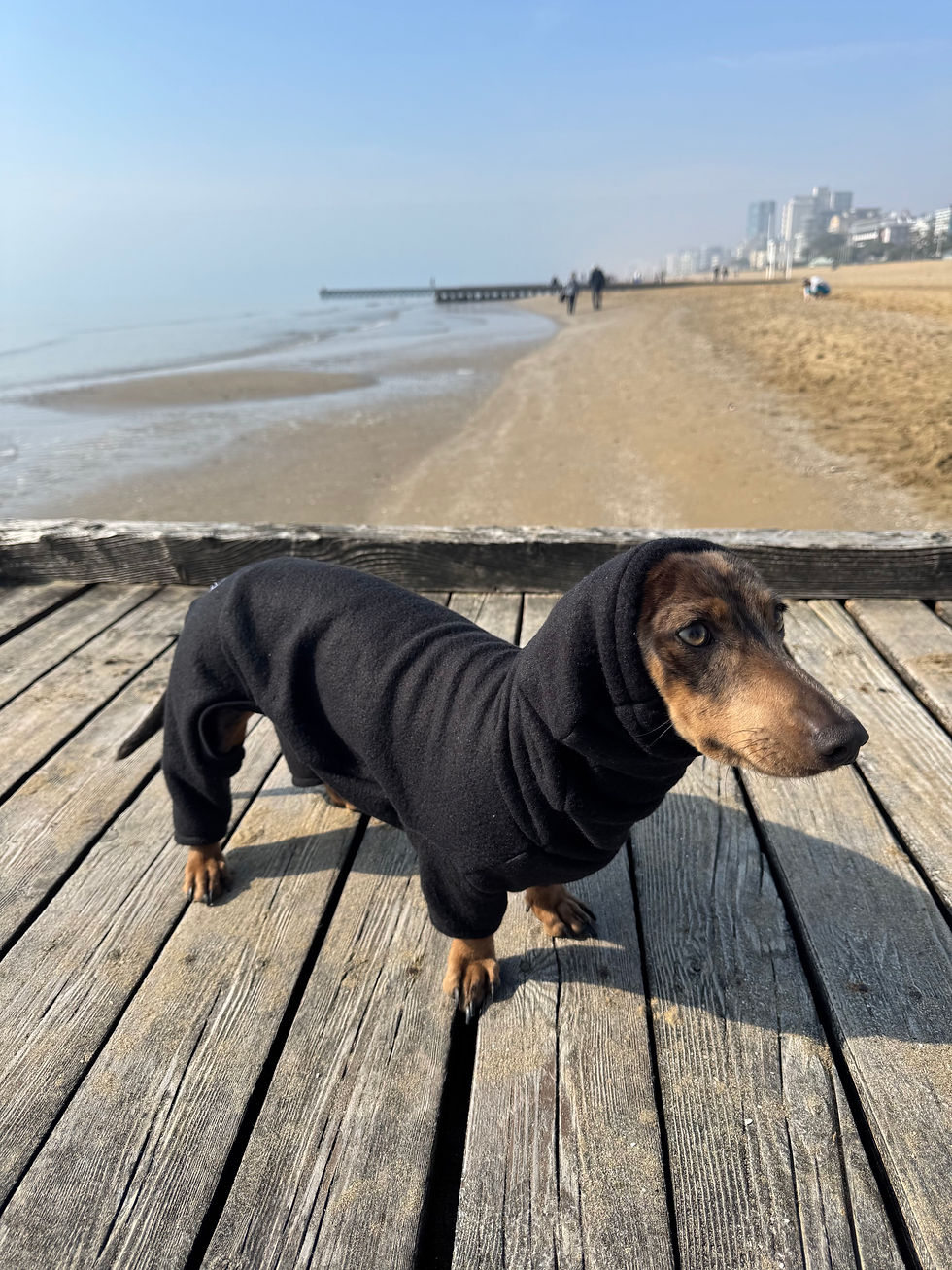 Tutona Pile nero cane