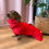 Miniatura: IMPERMEABILE ROSSO PER CANI