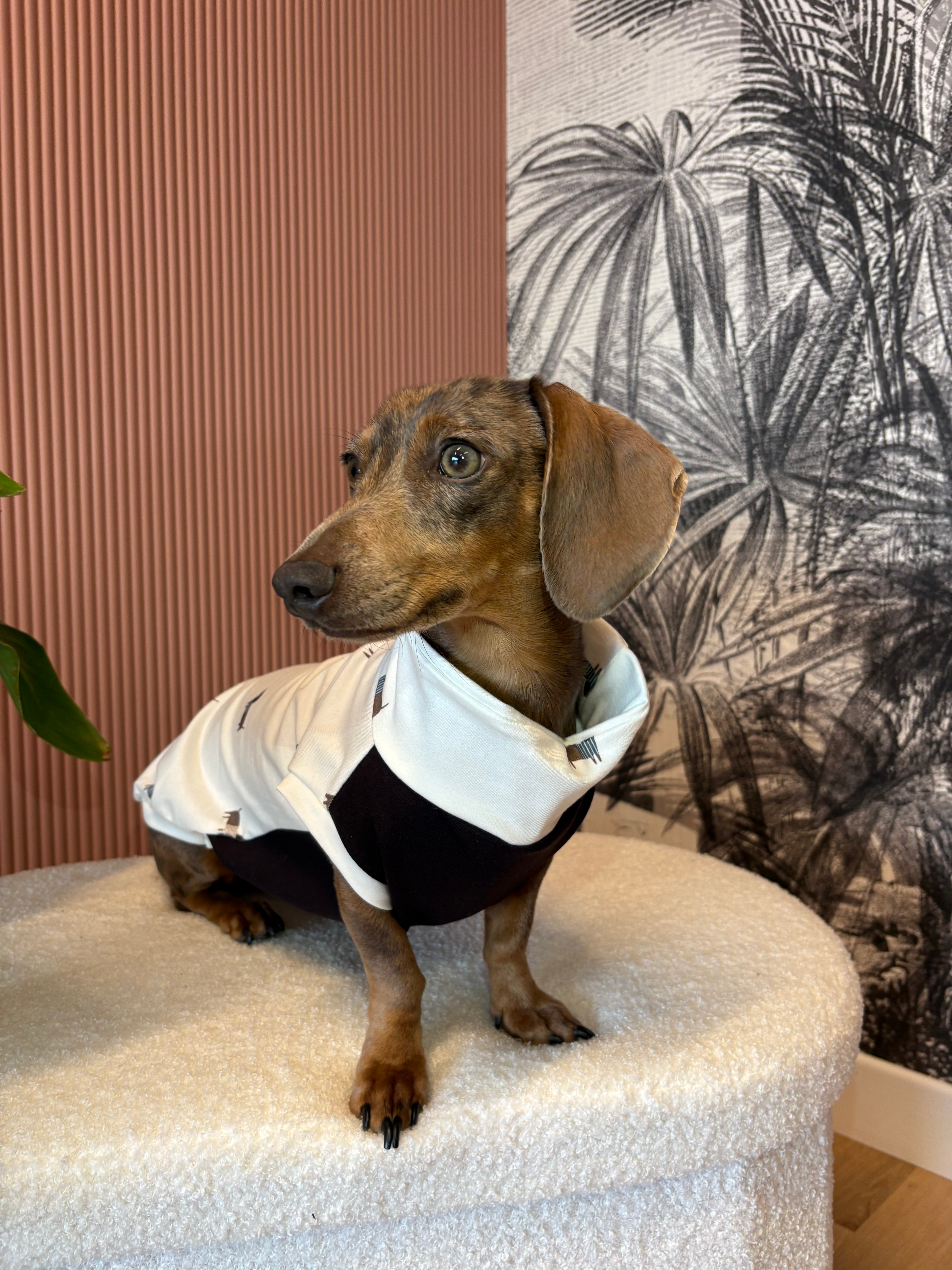 Pigiamino Bassotti Bianco