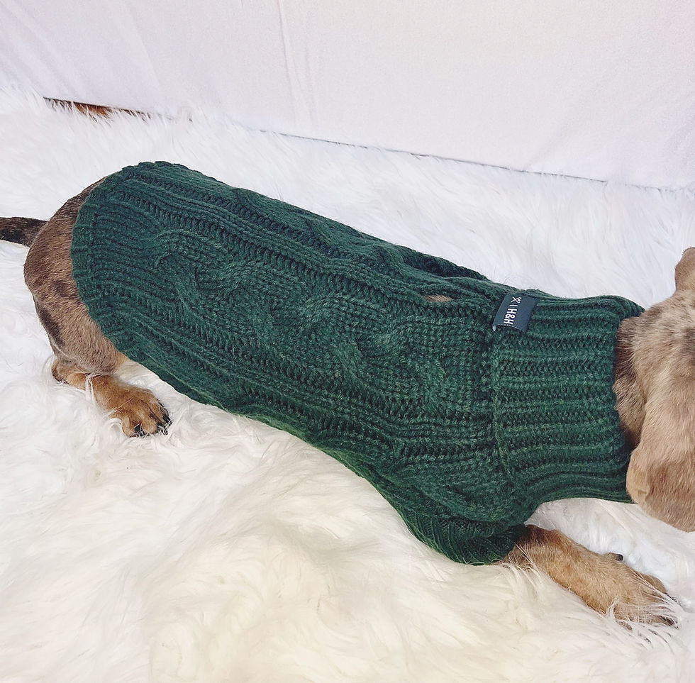 Miniatura: Maglione Cane Verde