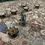 Thumbnail: Oathsworn: Into The Deepwood Collector's All-In