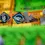 Thumbnail: Kingdom Rush: Elemental Uprising (Deluxe Edition)