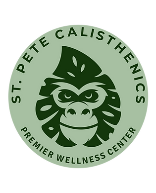 Transparent Logo (1).png