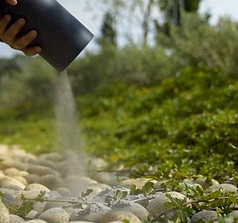Inland Ash Scattering Services