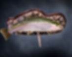 Maryland Rainbow trout