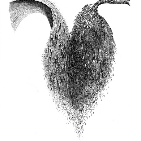 Coeur.jpg