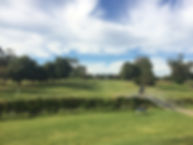 IMG_1473_4th.jpeg