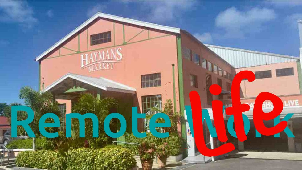 Remote Life