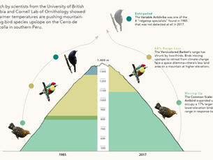 The Ups and Downs of Connectivity