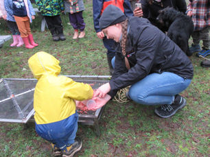 Salmon Eggstravaganza at Hope Bay 2023