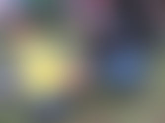 Salmon Eggstravaganza at Hope Bay 2023