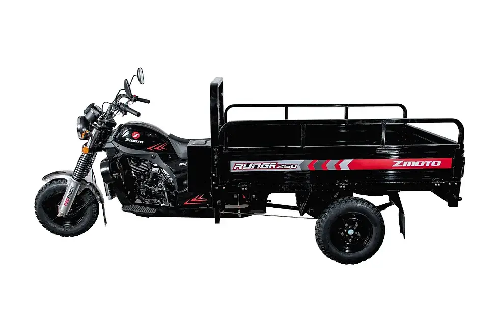 Miniatura: RUNGA 250 - ZMOTO