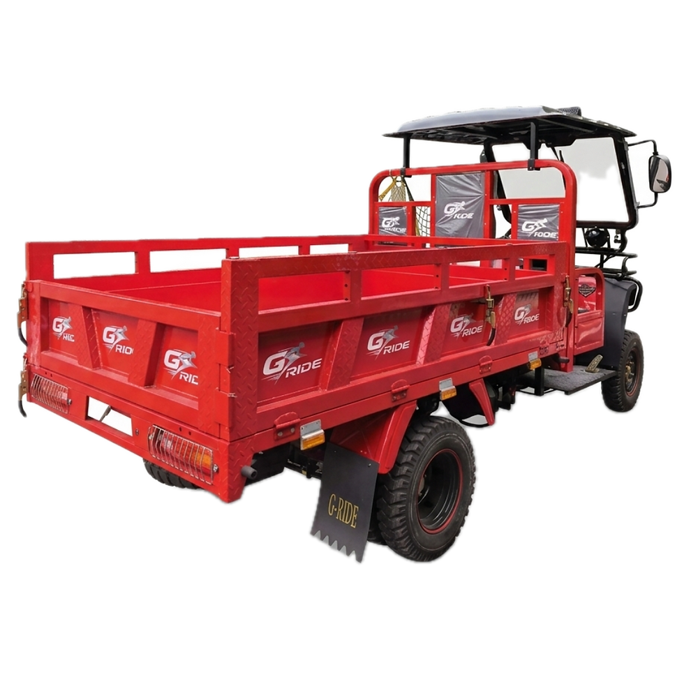 Miniatura: STRONGER 300 4X4, 2.2 MTS - G-RIDE