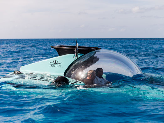 Sualtı Dünyasına Yakından Bakış