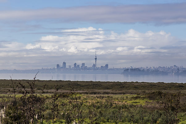 West Aucklandpests.jpeg