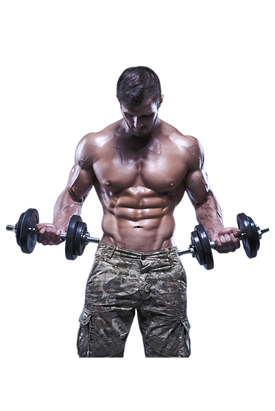 Bodygrid Cover Webmale Online Supplements South Africa