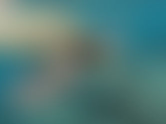 Discover the wildlife and natural beauty of Tortola