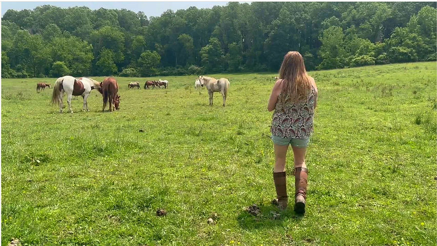 Screenshot 2025-12-15 at 3.48_edited.jpg