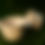 Thumbnail: Blue Dot Flower - Bowl