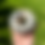 Thumbnail: Donut Pipe - Blue Flowers