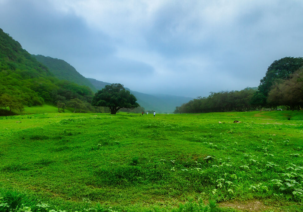 Salalah oman Nature .jpg