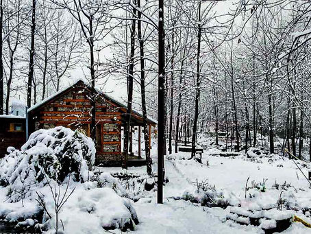 Discover the Best Riverside Resorts in Tirthan Valley
