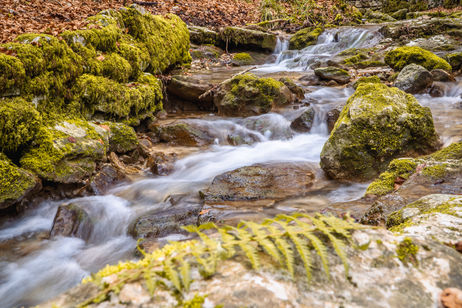 Verenaschlucht - HQ 1.jpg