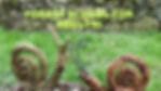 Adult forest school!
