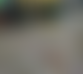 Voice from resident of Sunset Park!