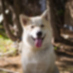 Sophie (Campground Greeter)