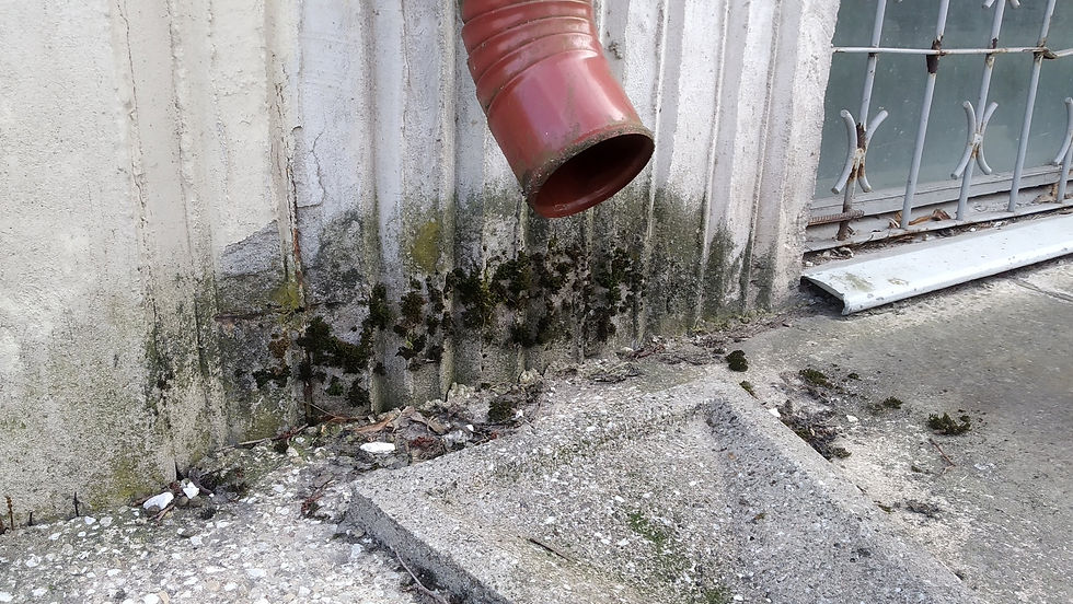 Distantsõpe 3