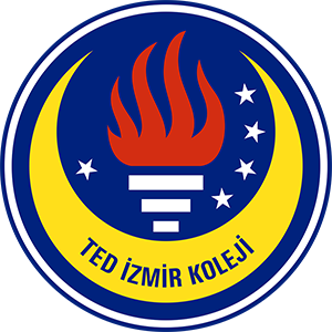IMG_0733.png