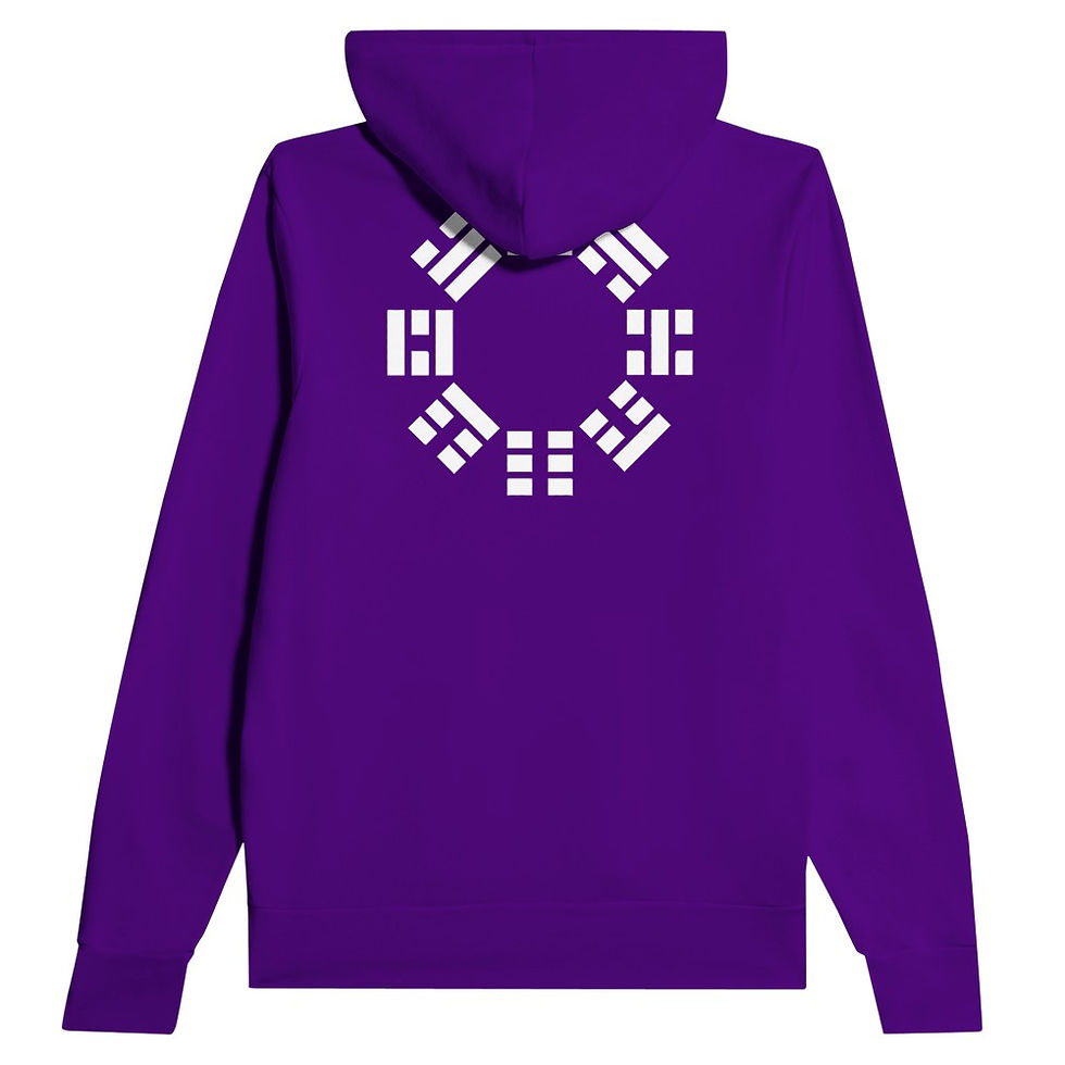 Thumbnail: Bagua Hoodie – Premium - White Symbol