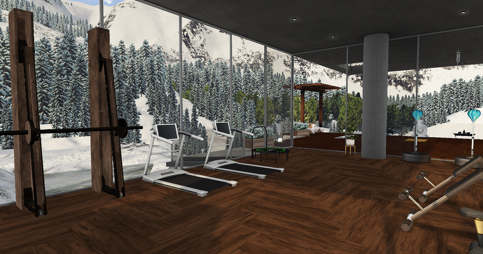 Snapshot_2026-01-06_211153_001 (1)