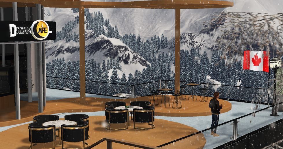 Snapshot_2026-01-06_210309_001 (1)