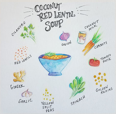 Coconut red lentil soup illustration-2.j